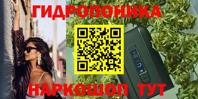 прущие грибы Первоуральск