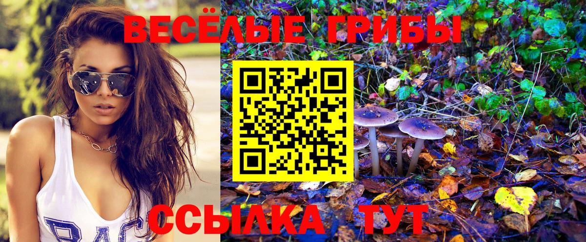 Псилоцибиновые грибы GOLDEN TEACHER Самара