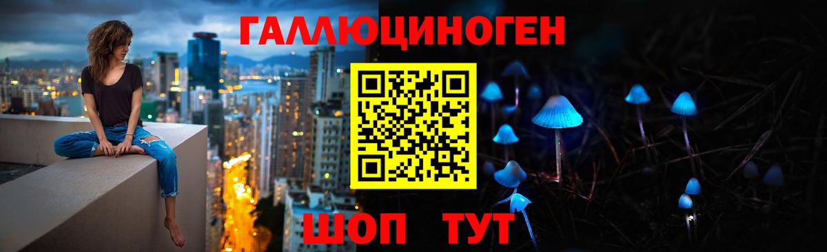 Псилоцибиновые грибы MAGIC MUSHROOMS  как найти закладки  Псилоцибиновые грибы прущие грибы  Самара  Вход с VPN 